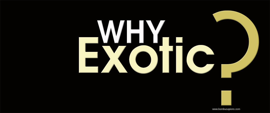 WHY EXOTIC?